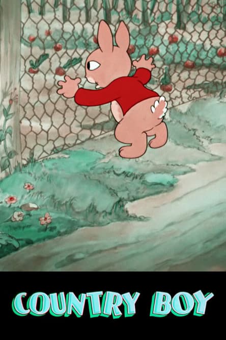 Country Boyのポスター