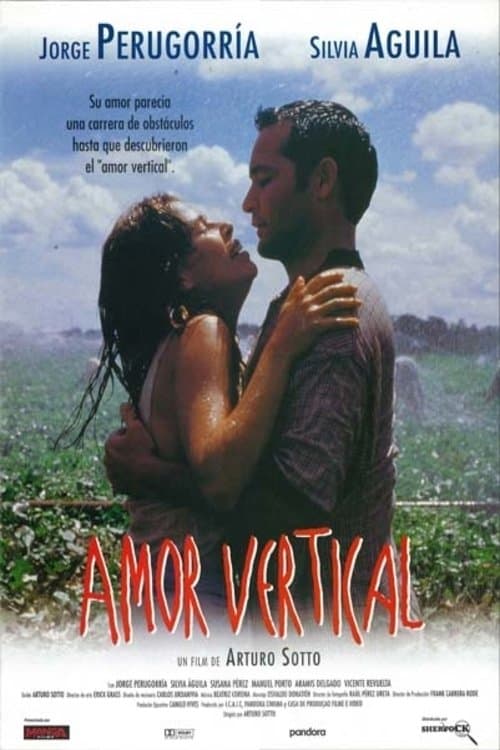 Amor verticalのポスター