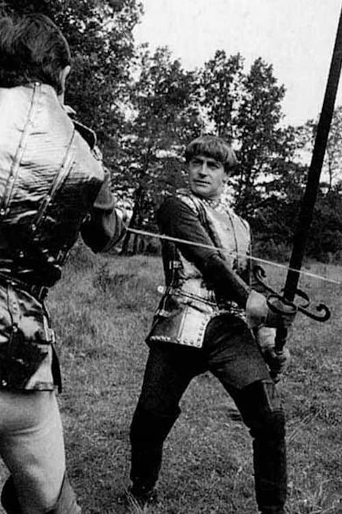 Bayardのポスター