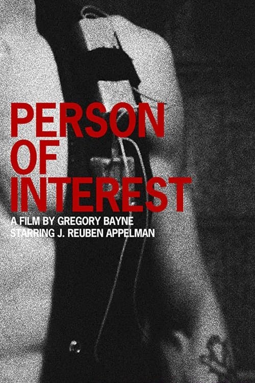 Person of Interestのポスター