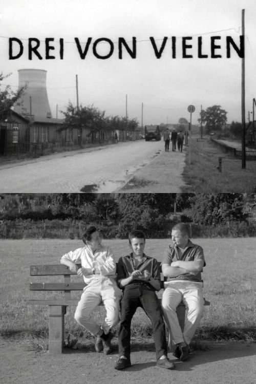 Drei von vielenのポスター