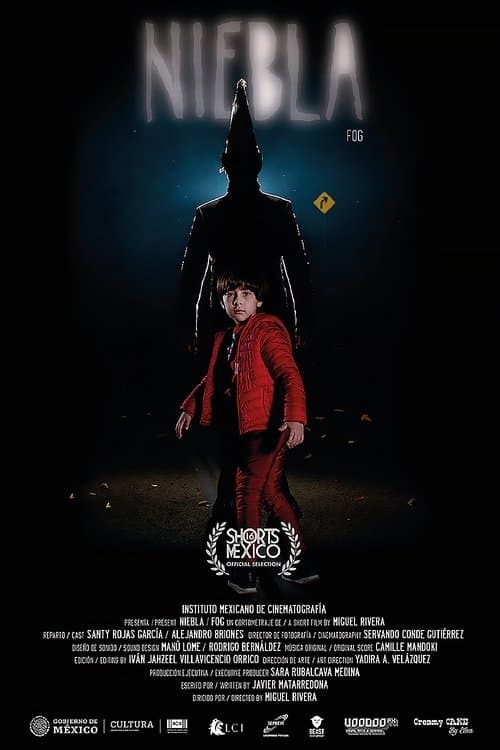 Nieblaのポスター