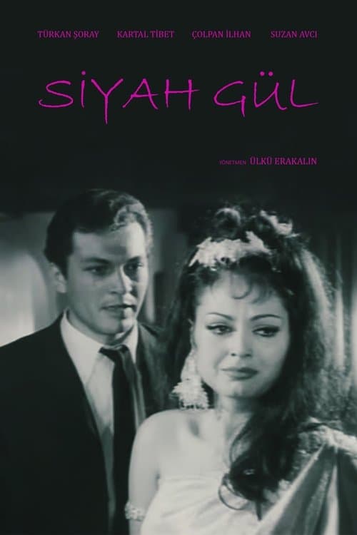 Siyah Gülのポスター