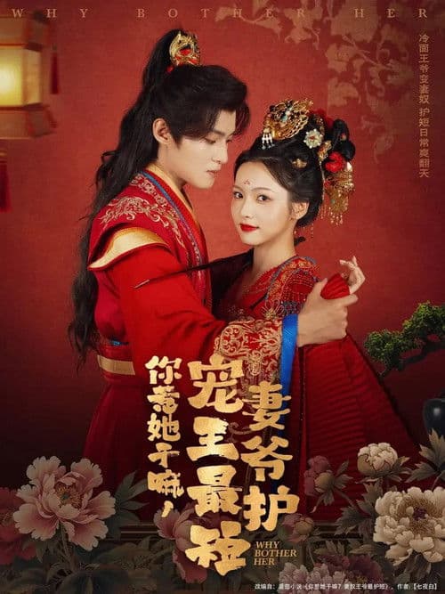 你惹她干嘛，宠妻王爷最护短のポスター