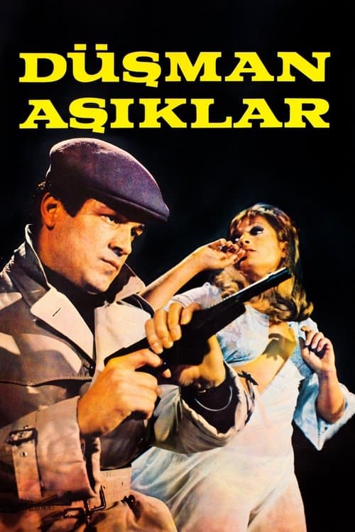 Düşman Aşıklarのポスター