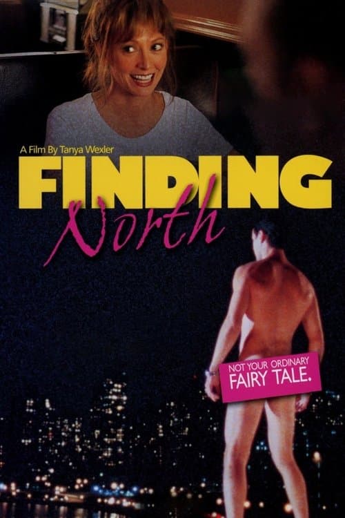 Finding Northのポスター