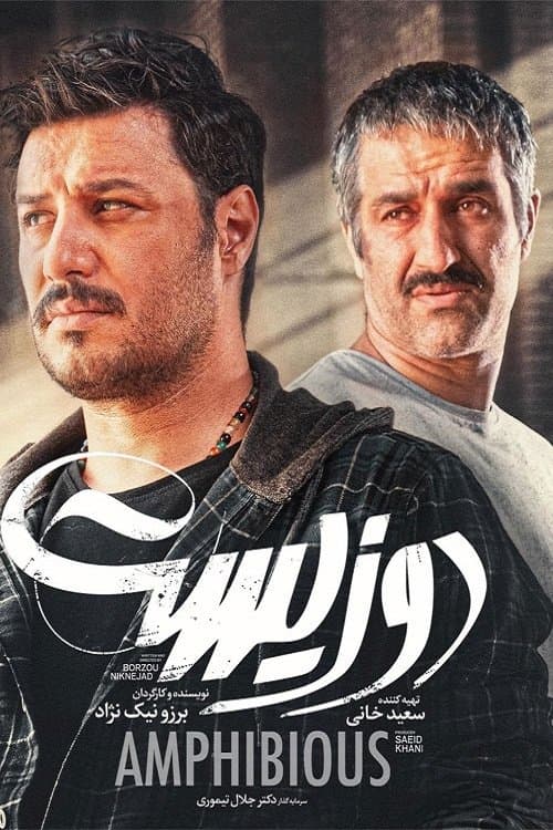 دوزیستのポスター