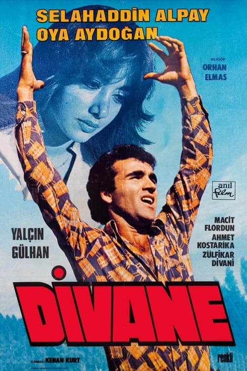 Divaneのポスター