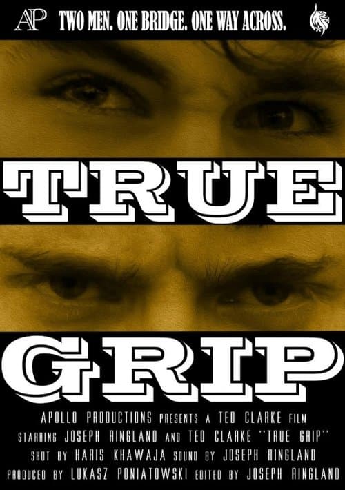 TRUE GRIPのポスター