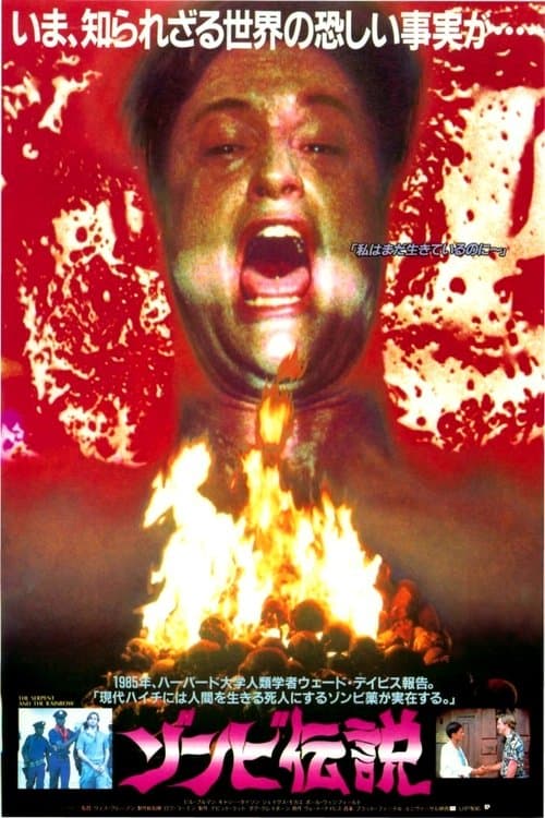 ゾンビ伝説のポスター