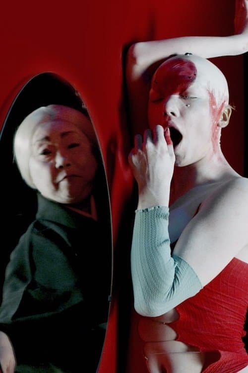 Simulacraのポスター