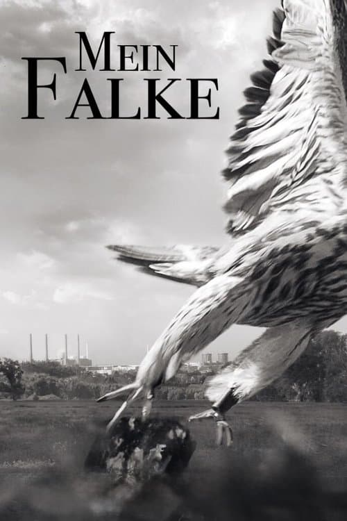 Mein Falkeのポスター