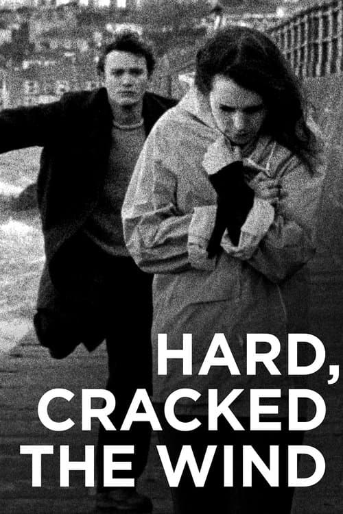Hard, Cracked the Windのポスター
