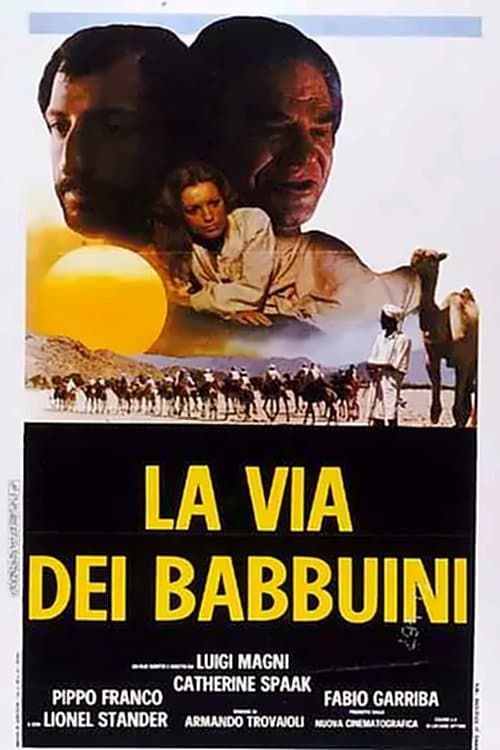 La via dei babbuiniのポスター