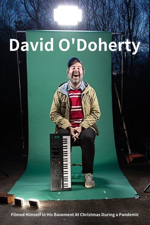 David O'Doherty Filmed Himself In His Basement At Christmas During a Pandemicのポスター