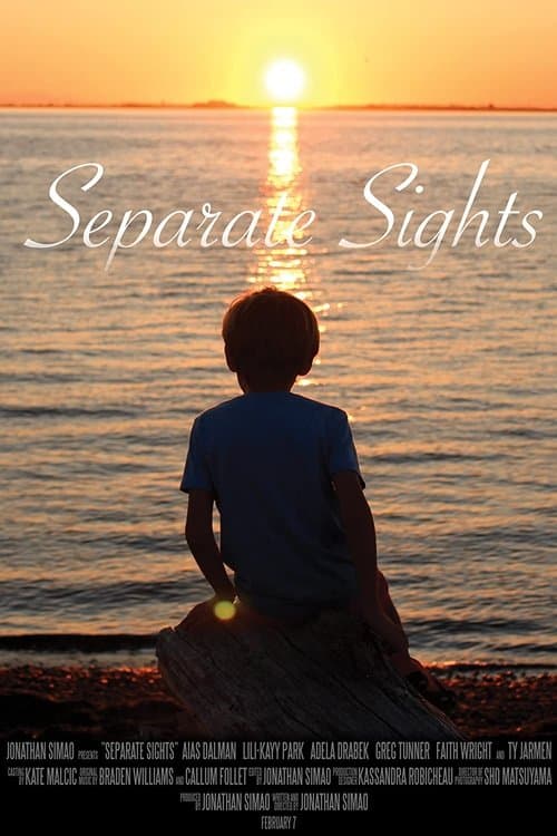 Separate Sightsのポスター