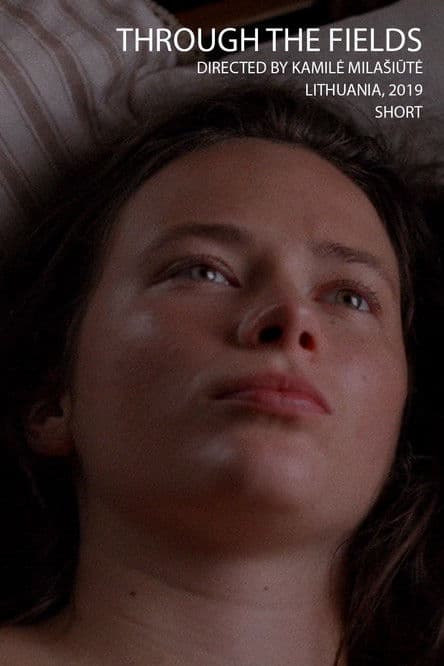 Laukaisのポスター