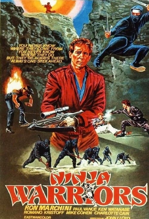 Ninja Warriorsのポスター
