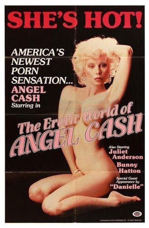 The Erotic World of Angel Cashのポスター