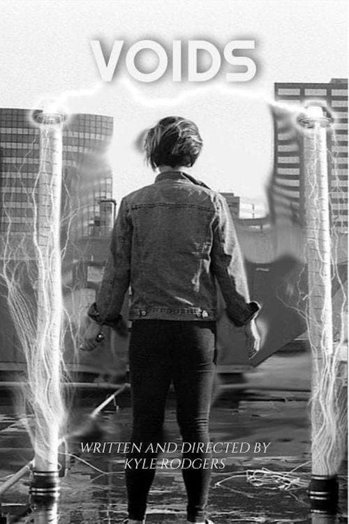 Voidsのポスター