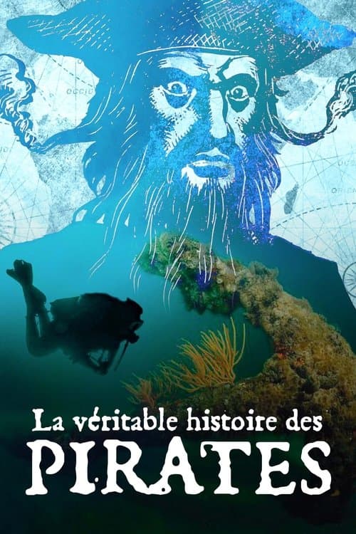 La Véritable histoire des piratesのポスター