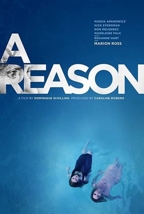 A Reasonのポスター