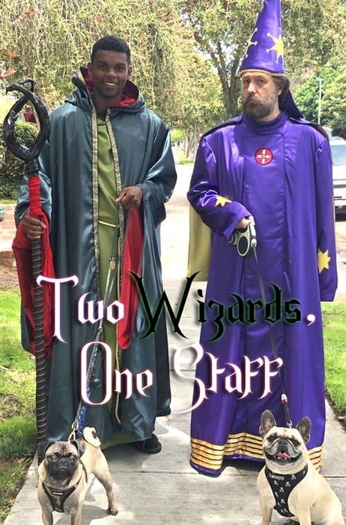 Two Wizards, One Staffのポスター