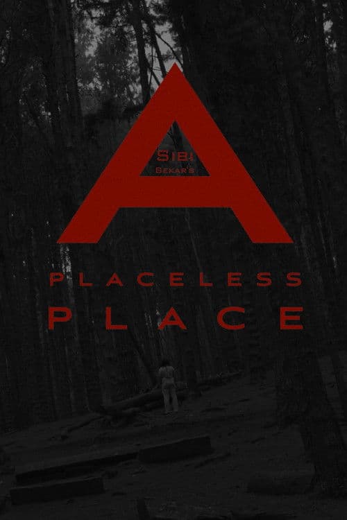 a placeless placeのポスター