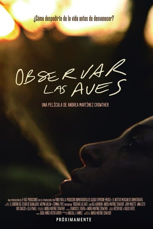 Observar las avesのポスター
