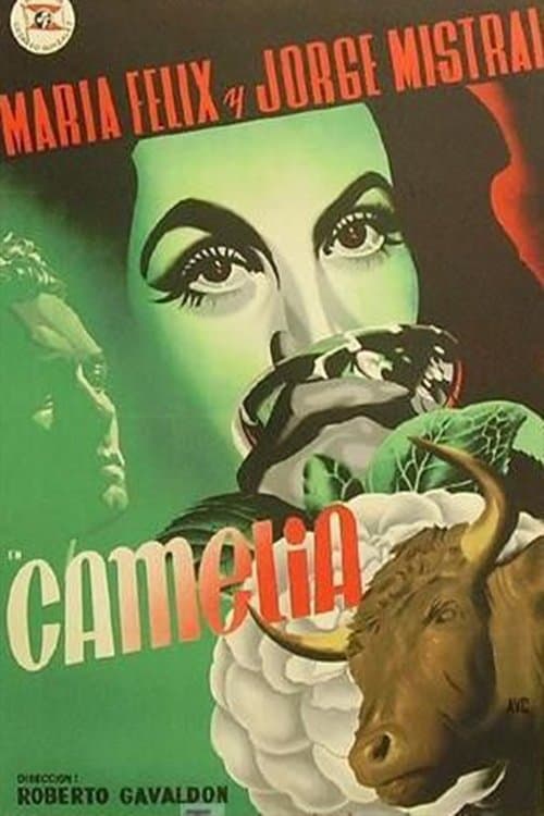 Cameliaのポスター