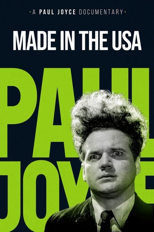 Made in the USAのポスター