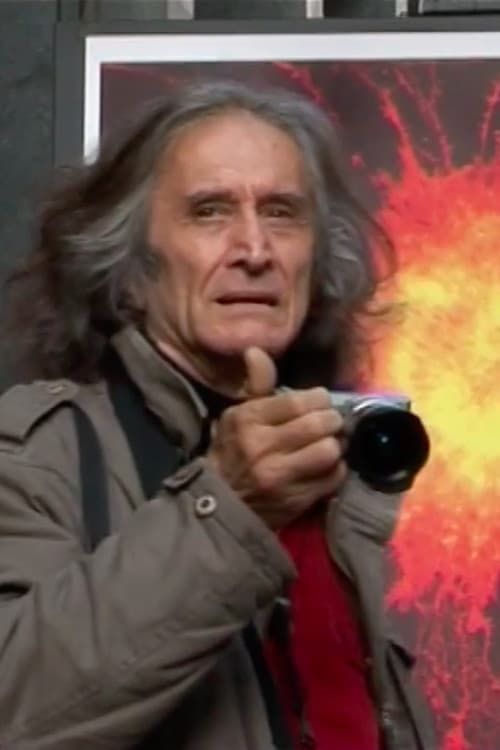 Into the Wildのポスター