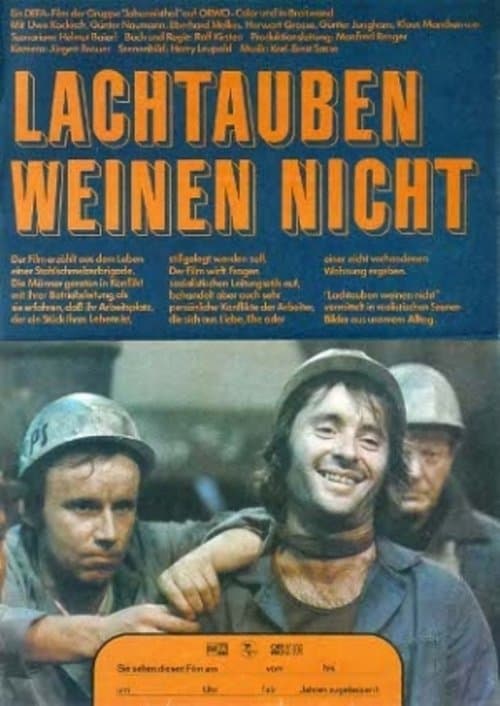 Lachtauben weinen nichtのポスター