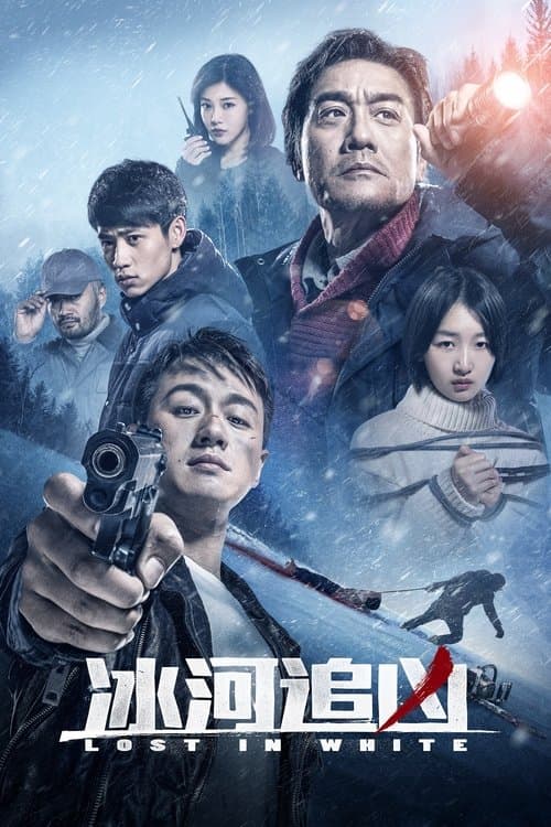 冰河追凶のポスター