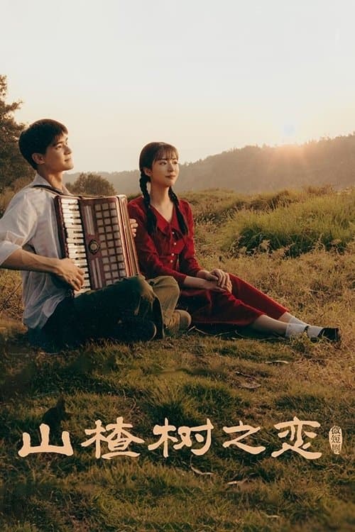 山楂树之恋のポスター