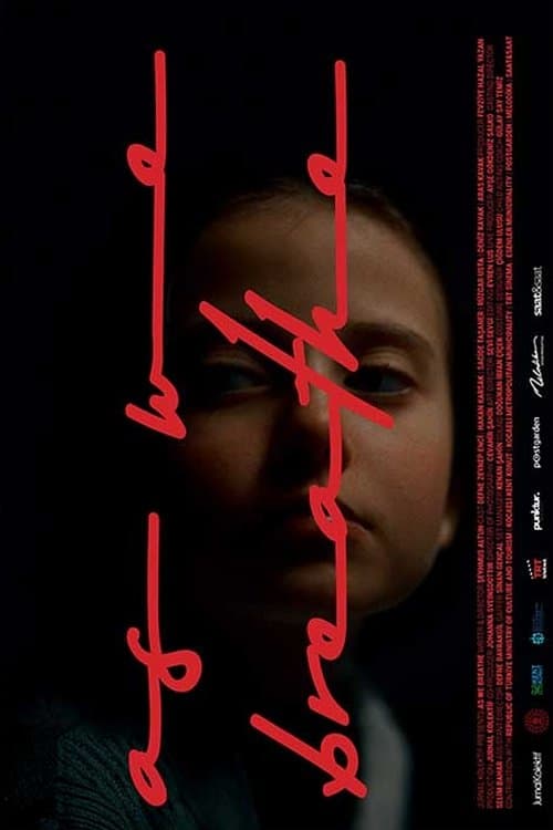 Aldığımız Nefesのポスター