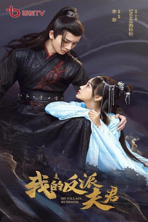 我的反派夫君のポスター