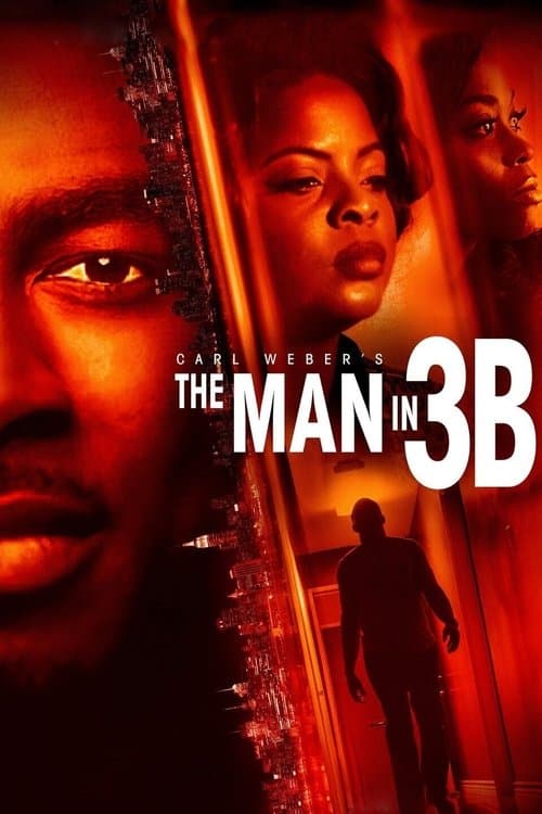 The Man in 3Bのポスター