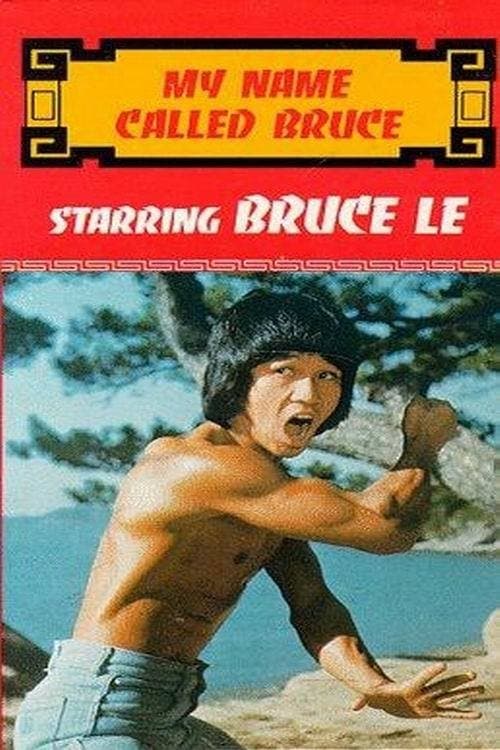 Pi li long quanのポスター