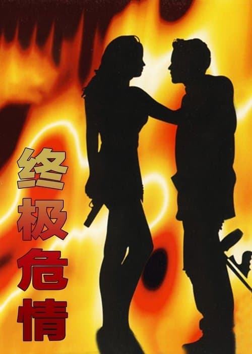 Final Targetのポスター