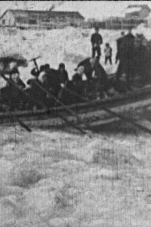 生命の冠のポスター