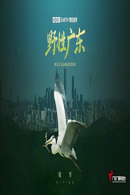 野性广东のポスター