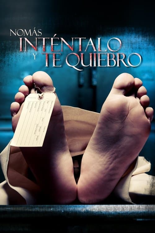 Nomás inténtalo y te quiebroのポスター