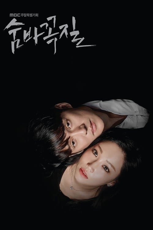 かくれんぼのポスター