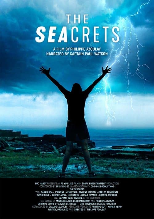 The Seacretsのポスター