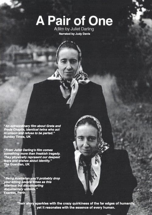 A Pair of Oneのポスター