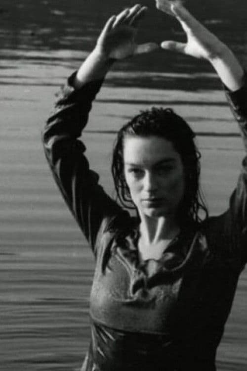 Waterlandersのポスター