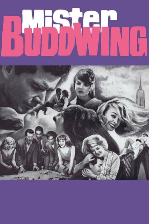 Mister Buddwingのポスター