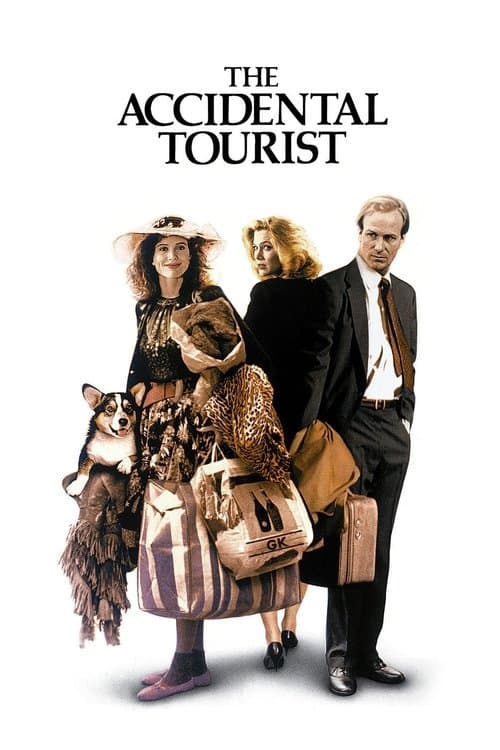 偶然の旅行者のポスター