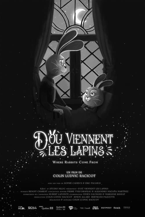 D’où viennent les lapinsのポスター